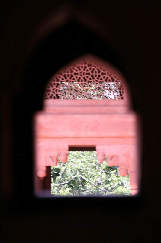 India & Nepal 2011 - 1302